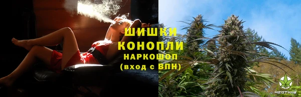 сатива Магас