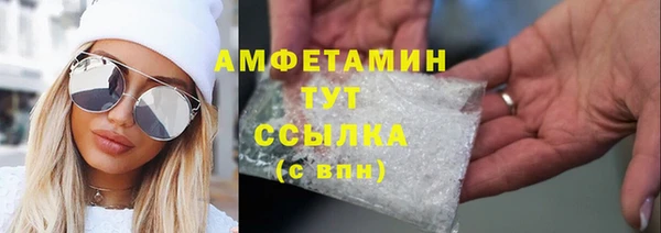 шишки Инсар