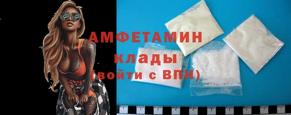 сатива Магас