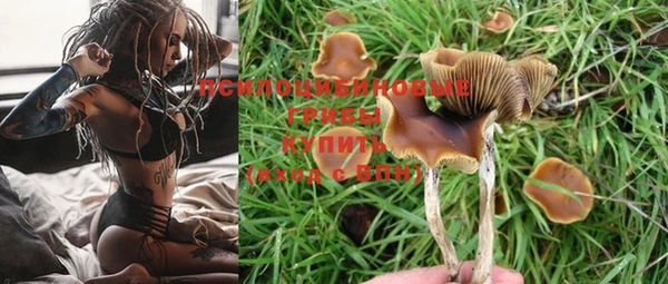 кокс Магадан