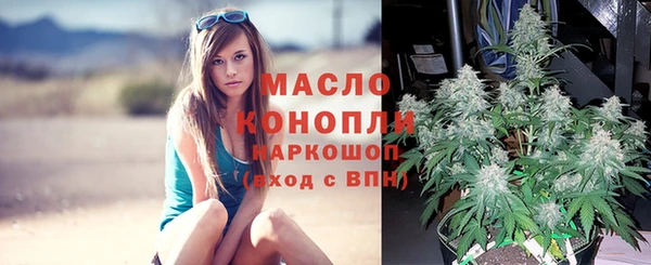 сатива Магас