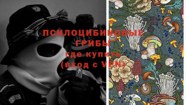 ешки Майский