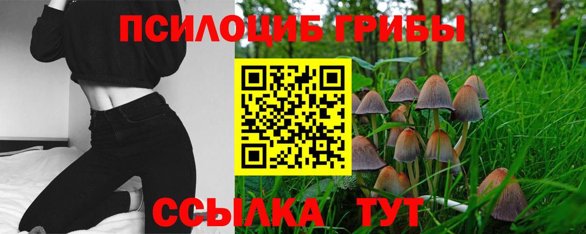 Коряжма  Галлюциногенные грибы ЛСД  Вход с VPN  Галлюциногенные грибы Cubensis 