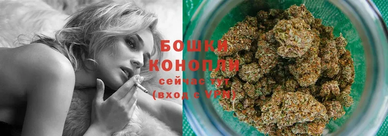 Бошки Шишки планчик  где можно купить   сайты даркнета как зайти  Коряжма 